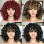Perruque bouclée brésilienne | Perruque cheveux humains courte | Perruque bouclée sans colle | Perruque femme courte | Perruque cosplay facile | Perruque naturelle bouclée | Perruque cheveux naturels | Perruque courte ondulée | Perruque brésilienne naturelle | Perruque bouclée mode