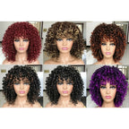 Perruque bouclée brésilienne | Perruque cheveux humains courte | Perruque bouclée sans colle | Perruque femme courte | Perruque cosplay facile | Perruque naturelle bouclée | Perruque cheveux naturels | Perruque courte ondulée | Perruque brésilienne naturelle | Perruque bouclée mode